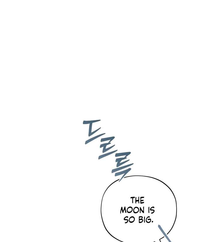 ch 20 71