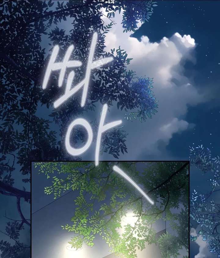 ch 21 41