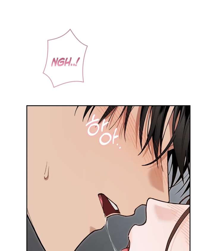 ch 23 53