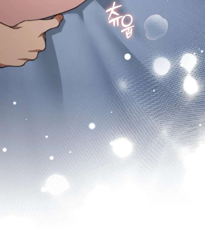 ch 23 81