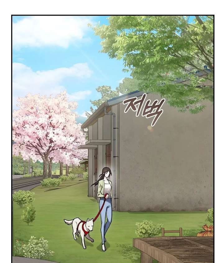 ch 26 19