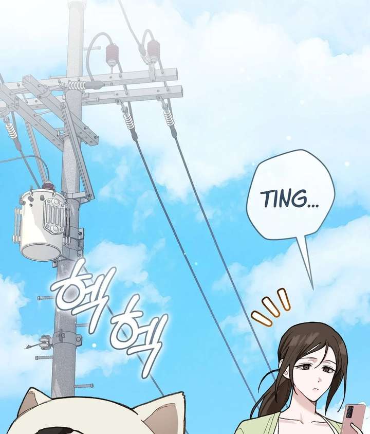 ch 26 23