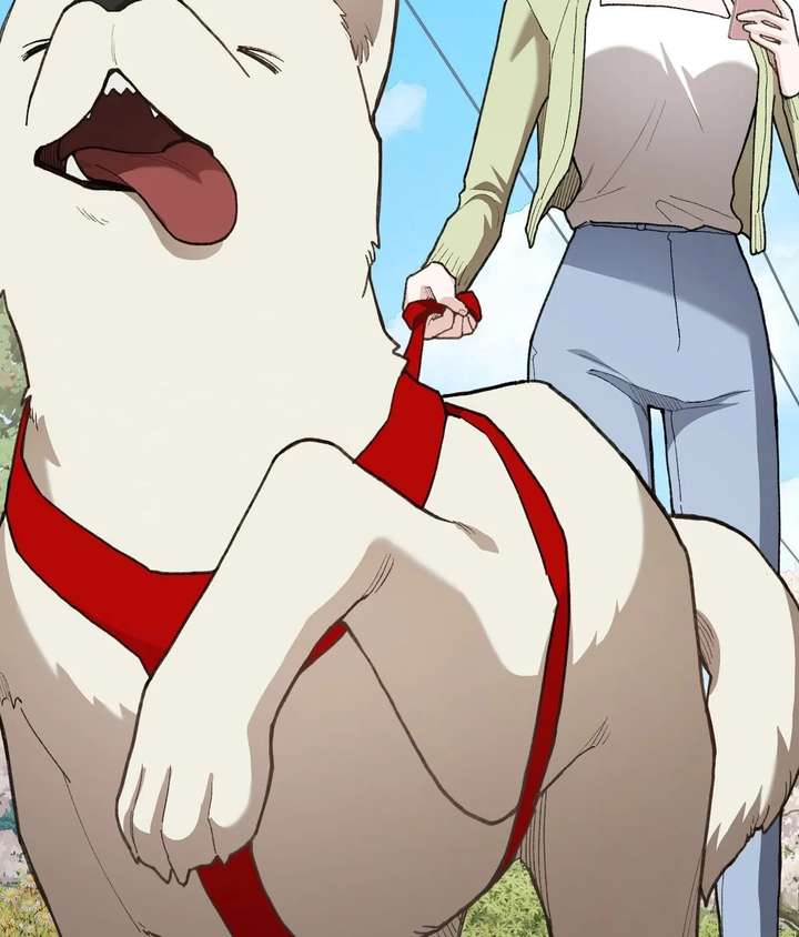 ch 26 24