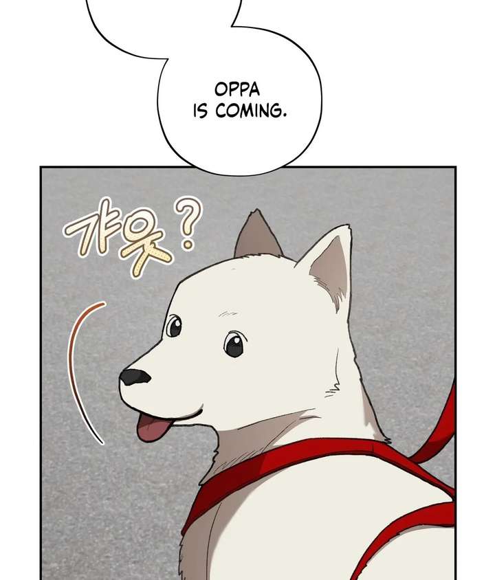 ch 26 29