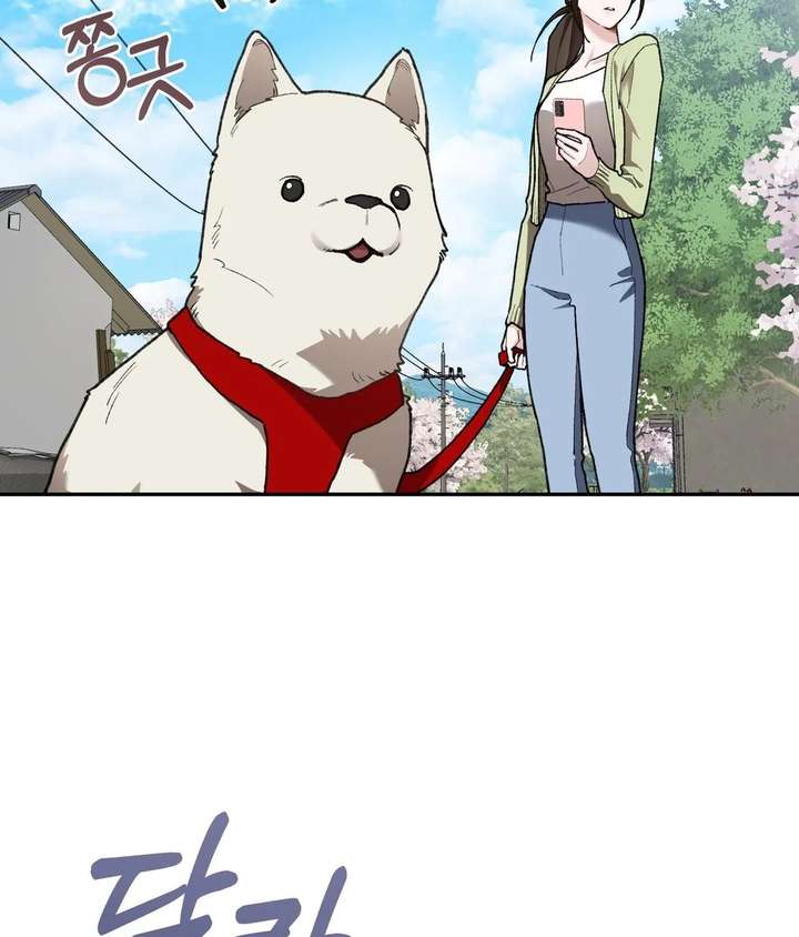 ch 26 31