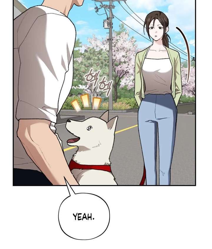 ch 26 37