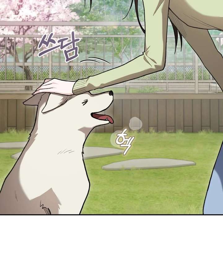 ch 26 91
