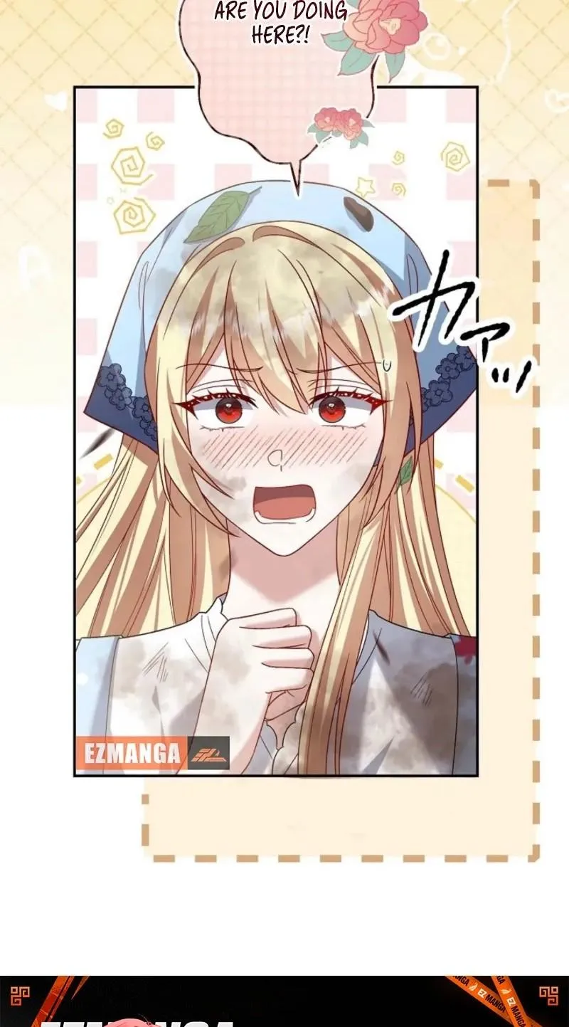 e68213e194d5