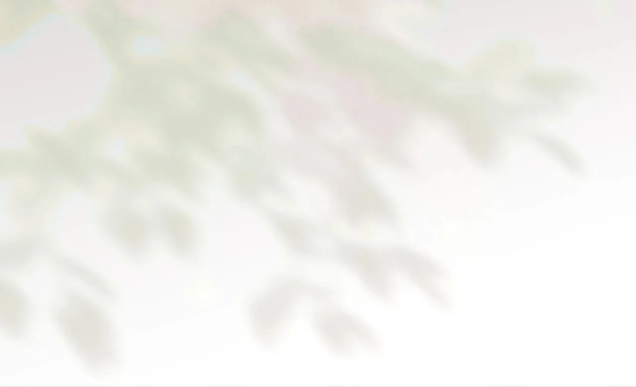 482ac034e58f