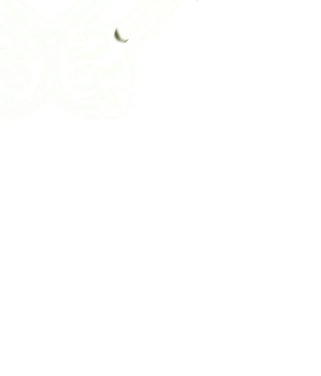 860842215266