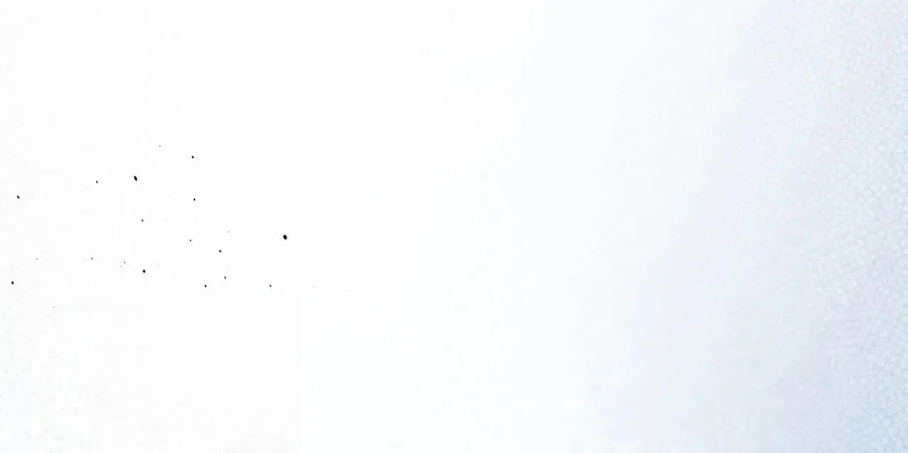 97c31ecd2203