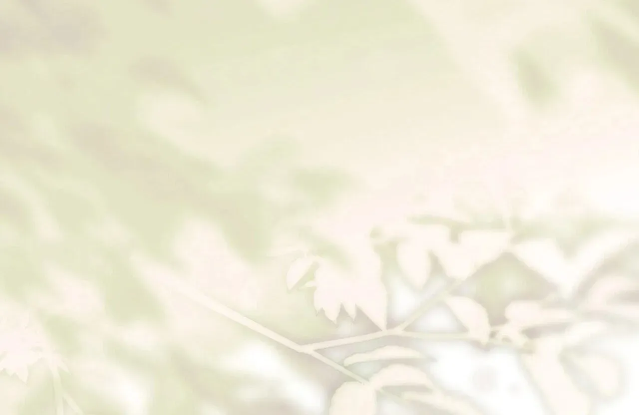 ce50c65e2d52