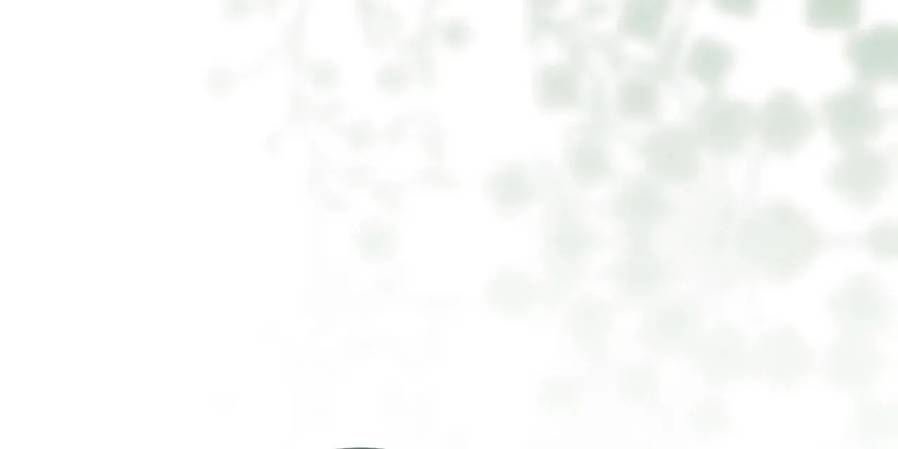 dabd922bd6dd