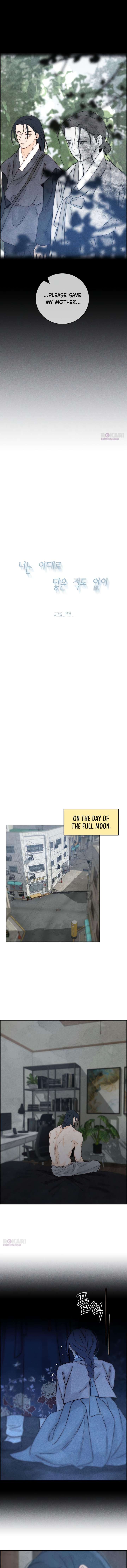 ch 23 15