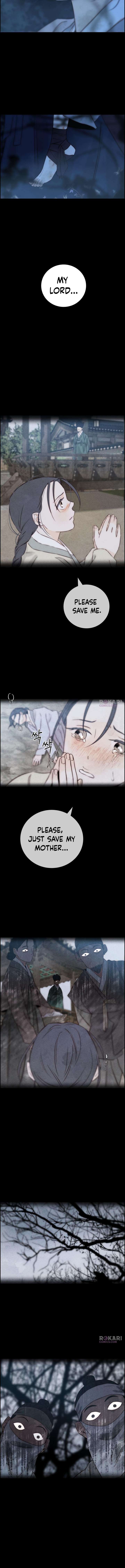 ch 23 8
