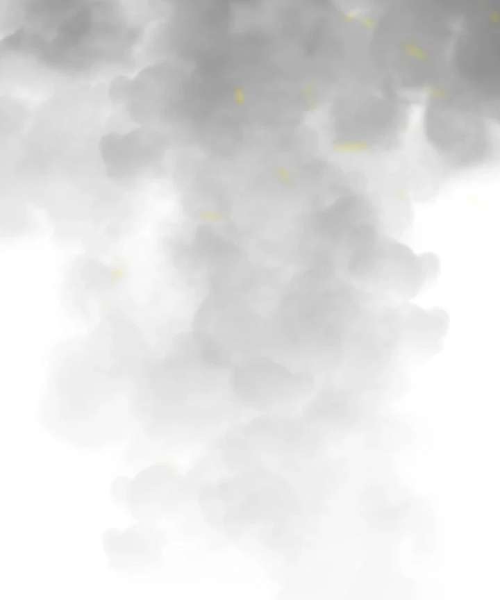 007