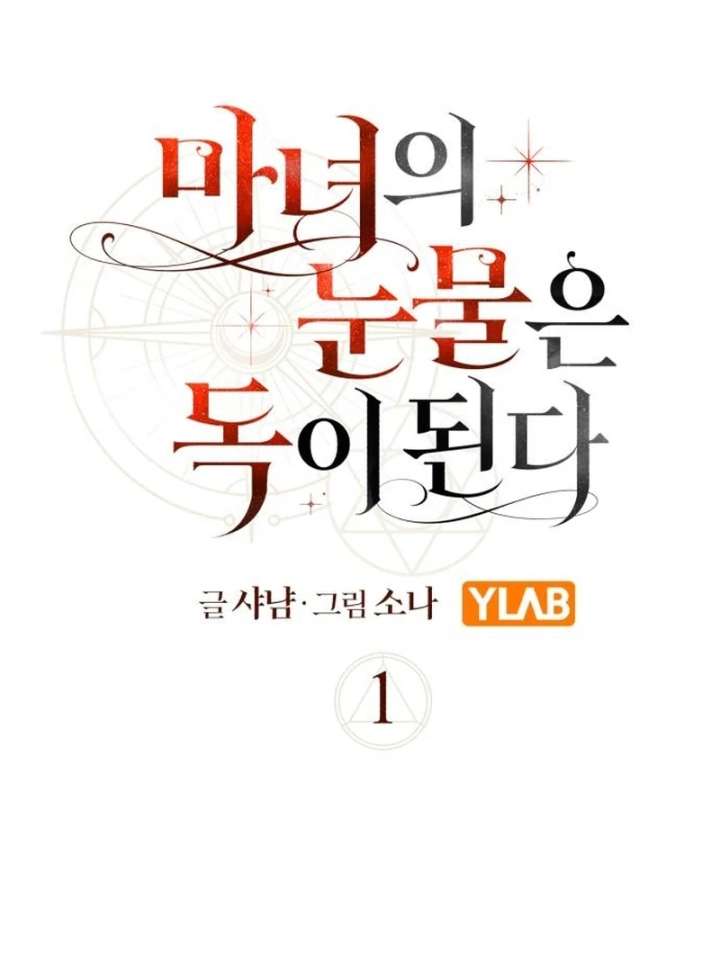 The Witch’s Tears Become Poison Chapter 1 1062 041