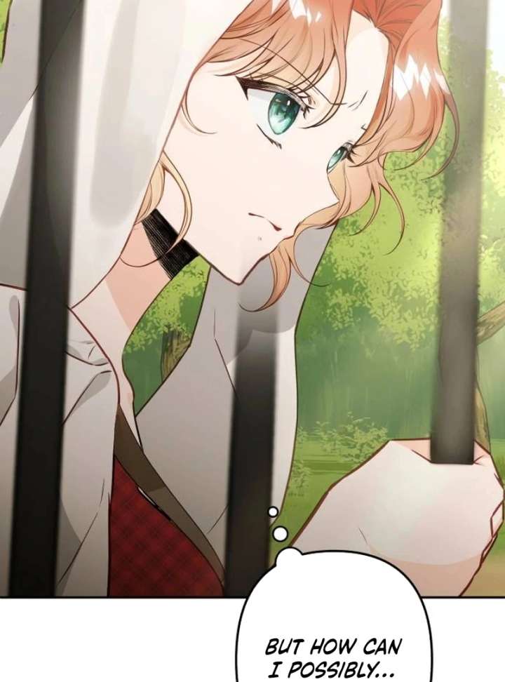 The Witch’s Tears Become Poison Chapter 1 1178 157