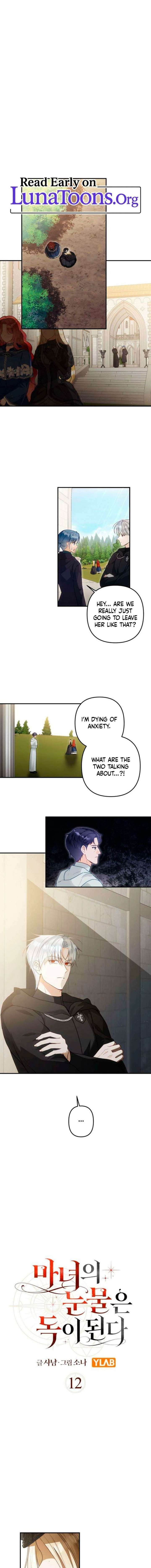ch 12 1