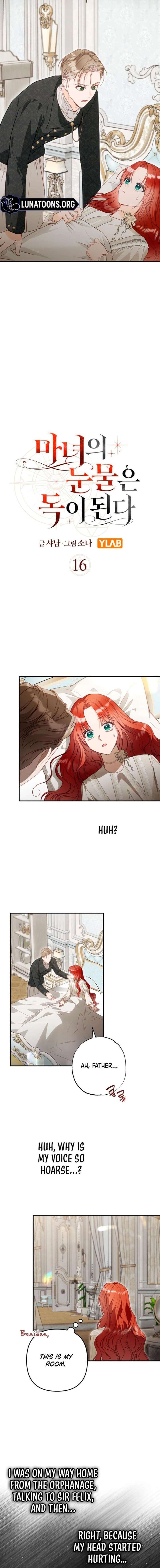 ch 16 4