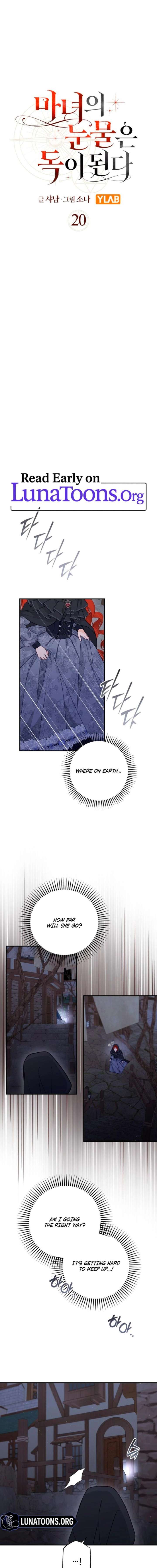 ch 20 1