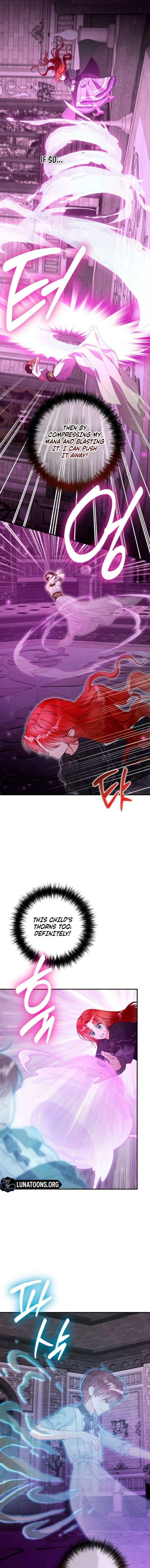 ch 24 3