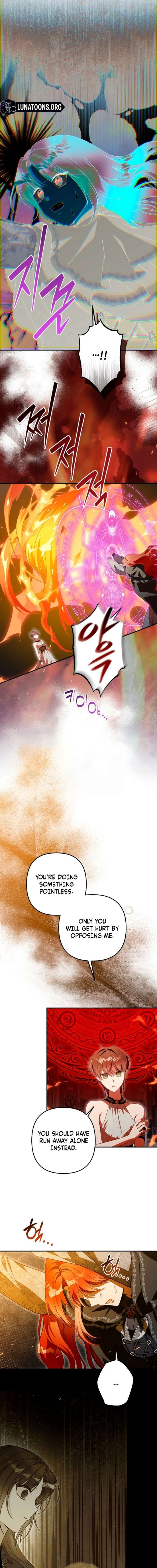 ch 24 5