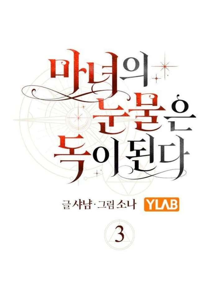 The Witch’s Tears Become Poison Chapter 3 531 074