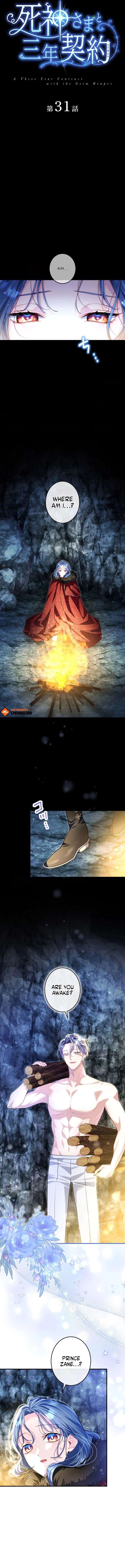 ch 31 3