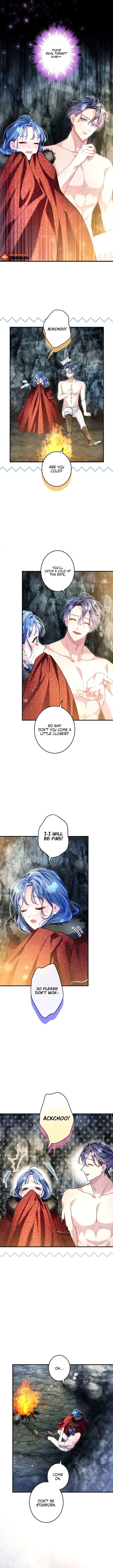 ch 31 8