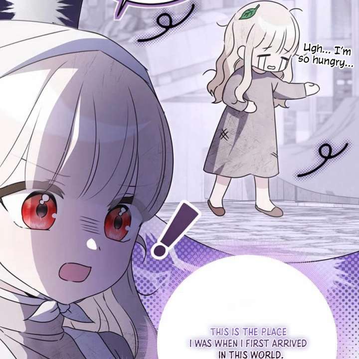 Beloved Contract Lady of the County Chapter 1 658 084