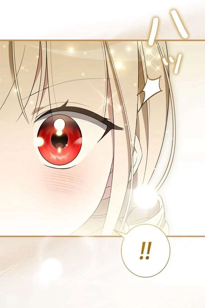 Beloved Contract Lady of the County Chapter 10 487 048