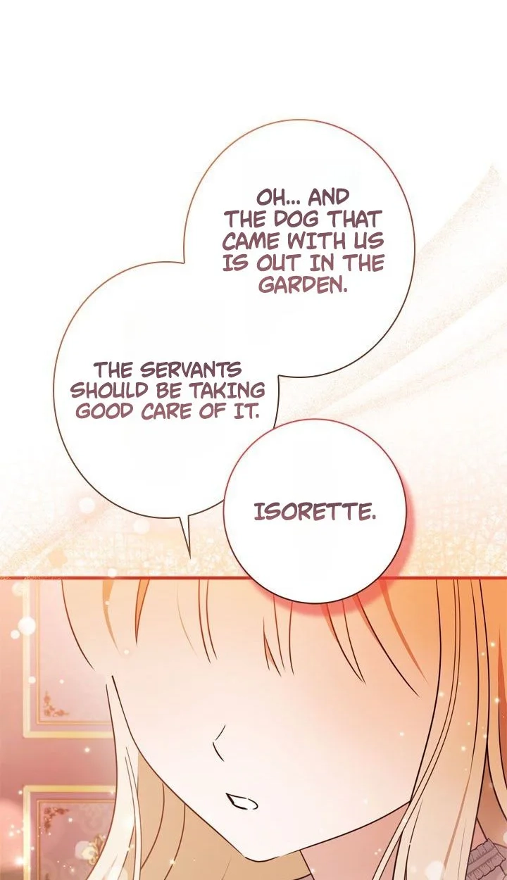 904d3d162620