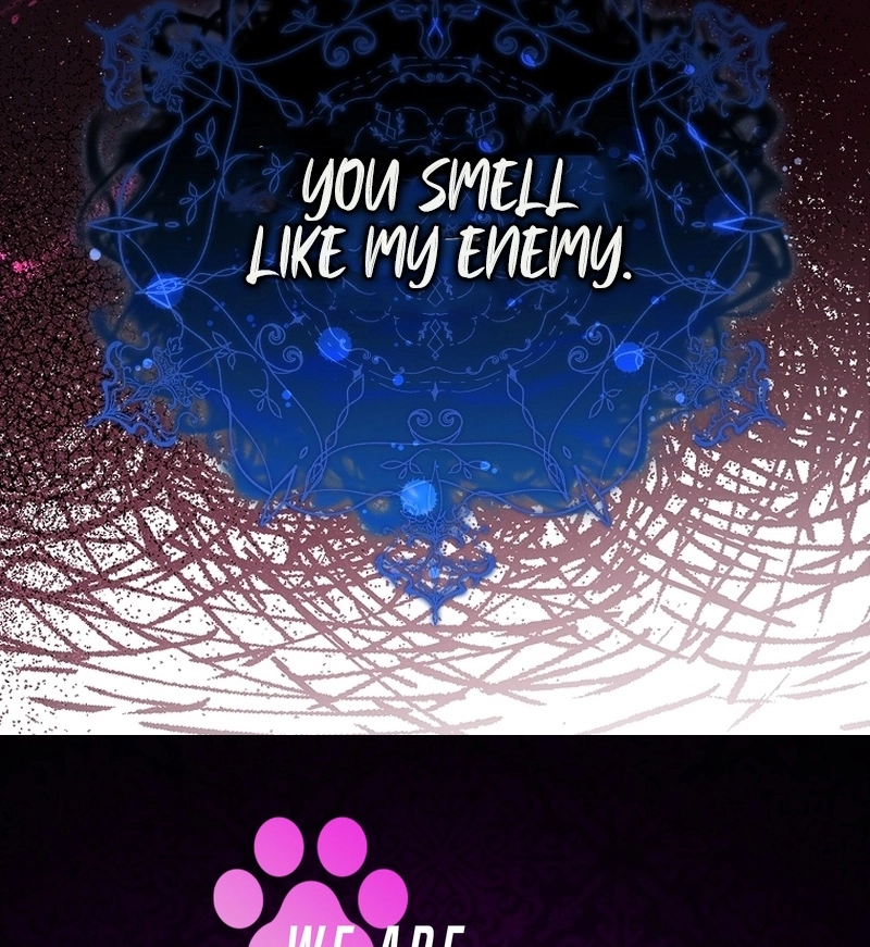 66f339f84e3e