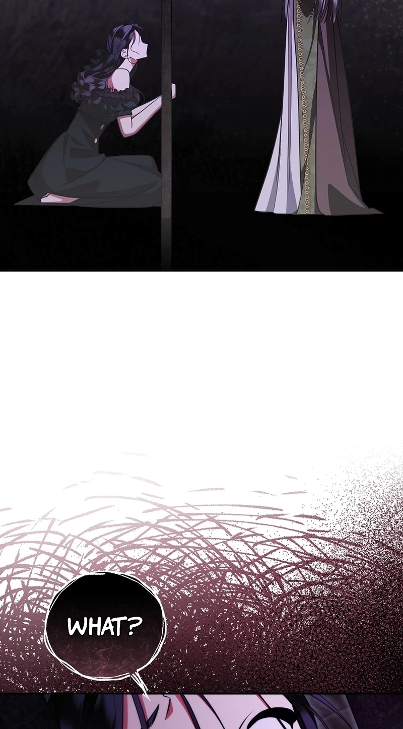 e25b95577e1b