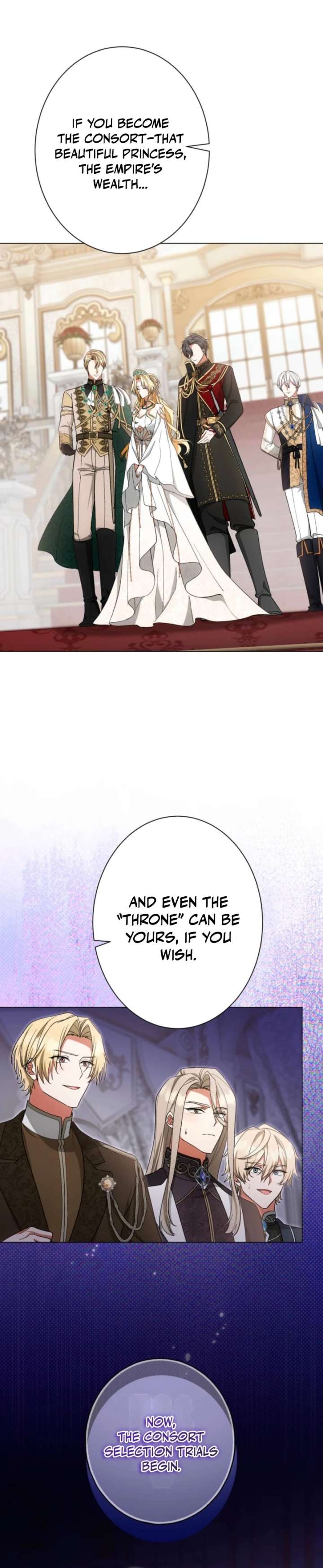 ch 41 33