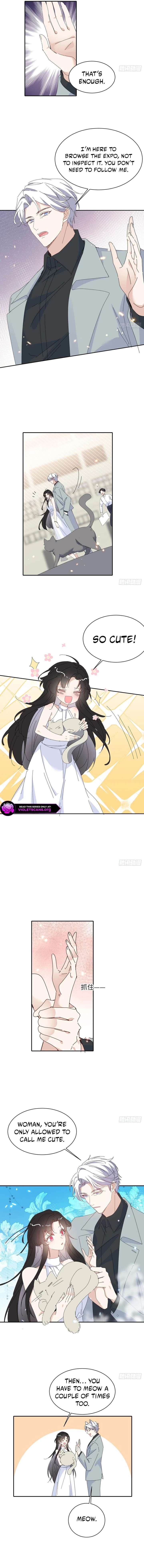 ch 26 2