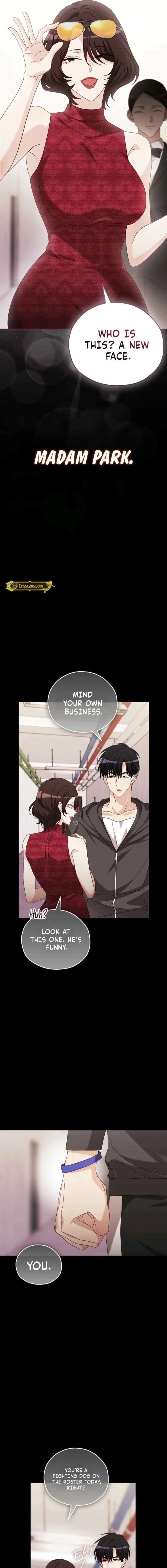 A Fighting Dog’s Way of Courtship Chapter 29 69 ch 29 6