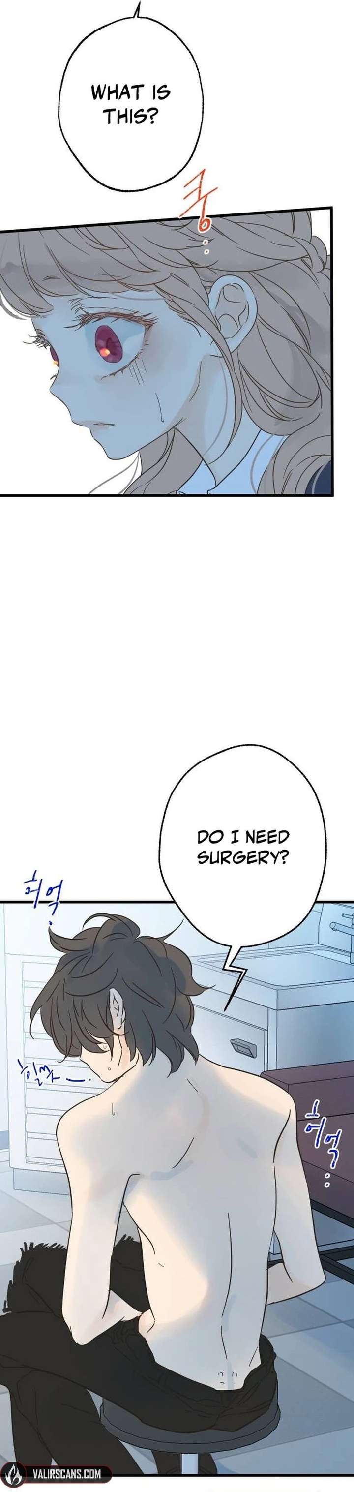 ch 22 11