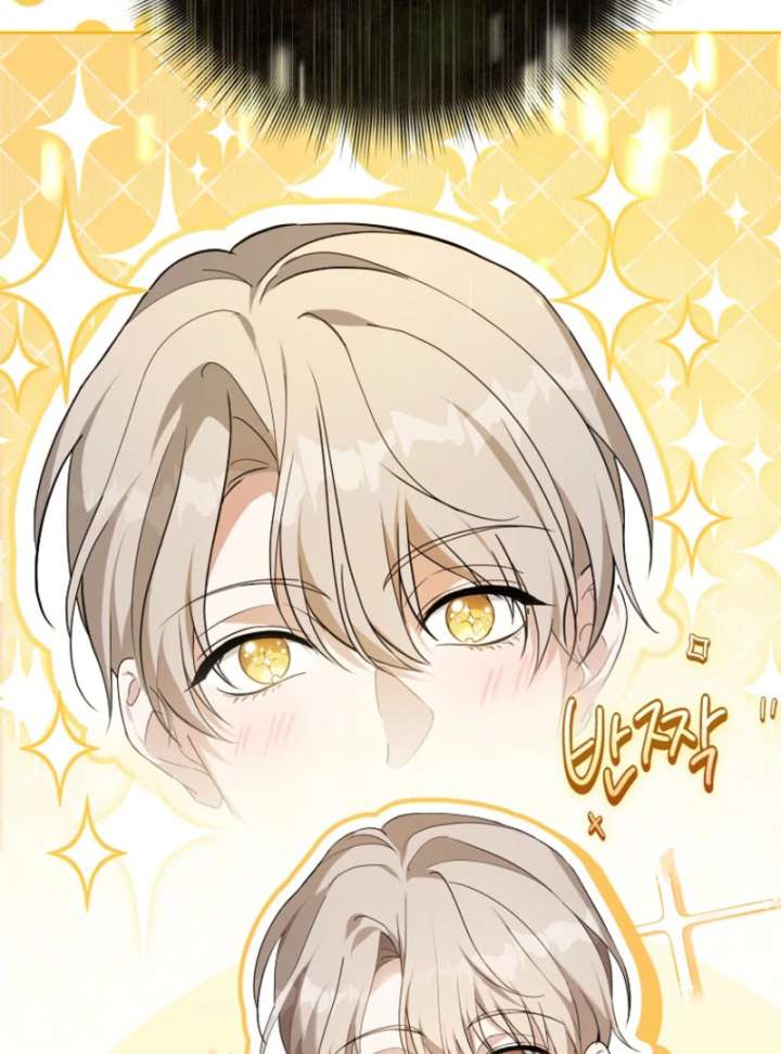 The Lucky Plan of an Idol in His Second Life Chapter 5 395 058