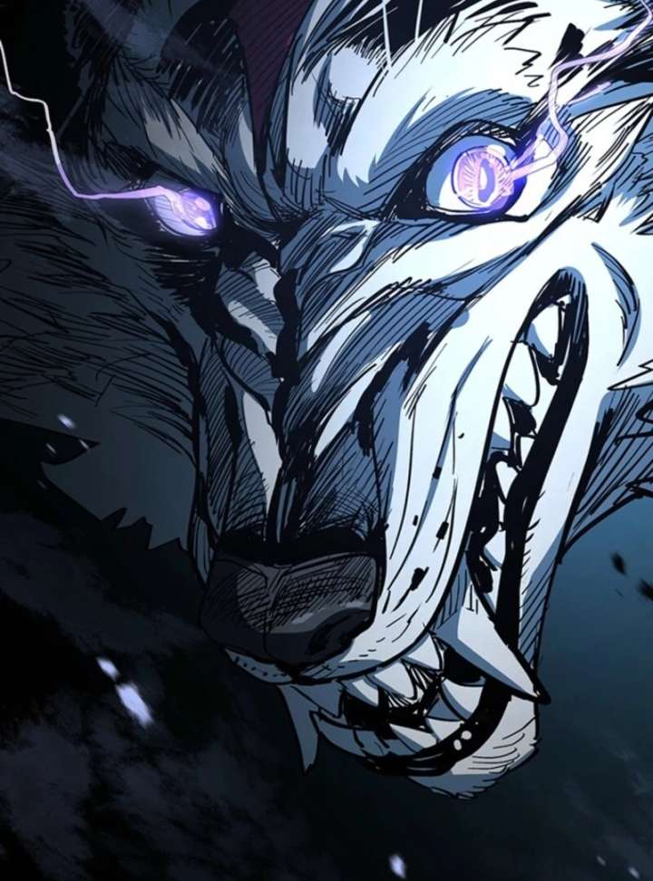 081