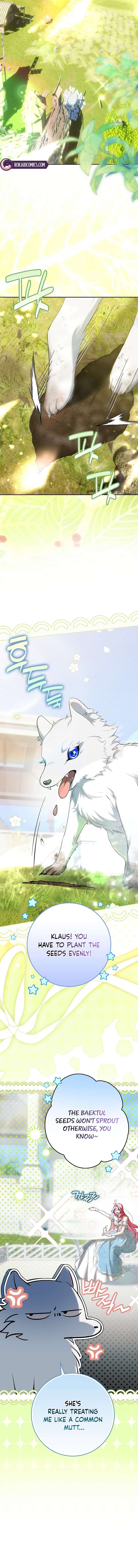 ch 40 16