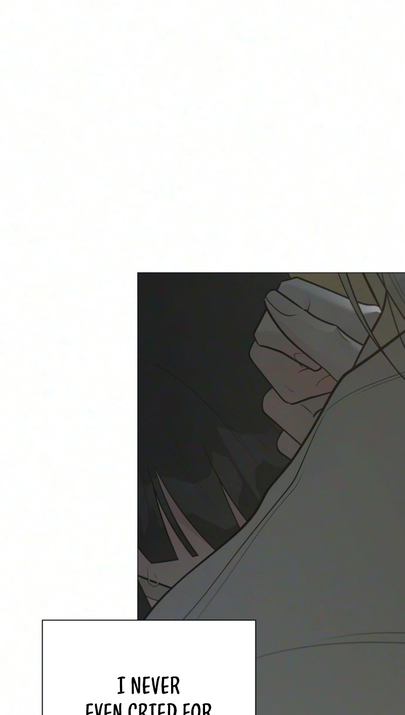 3bb08f74b55e