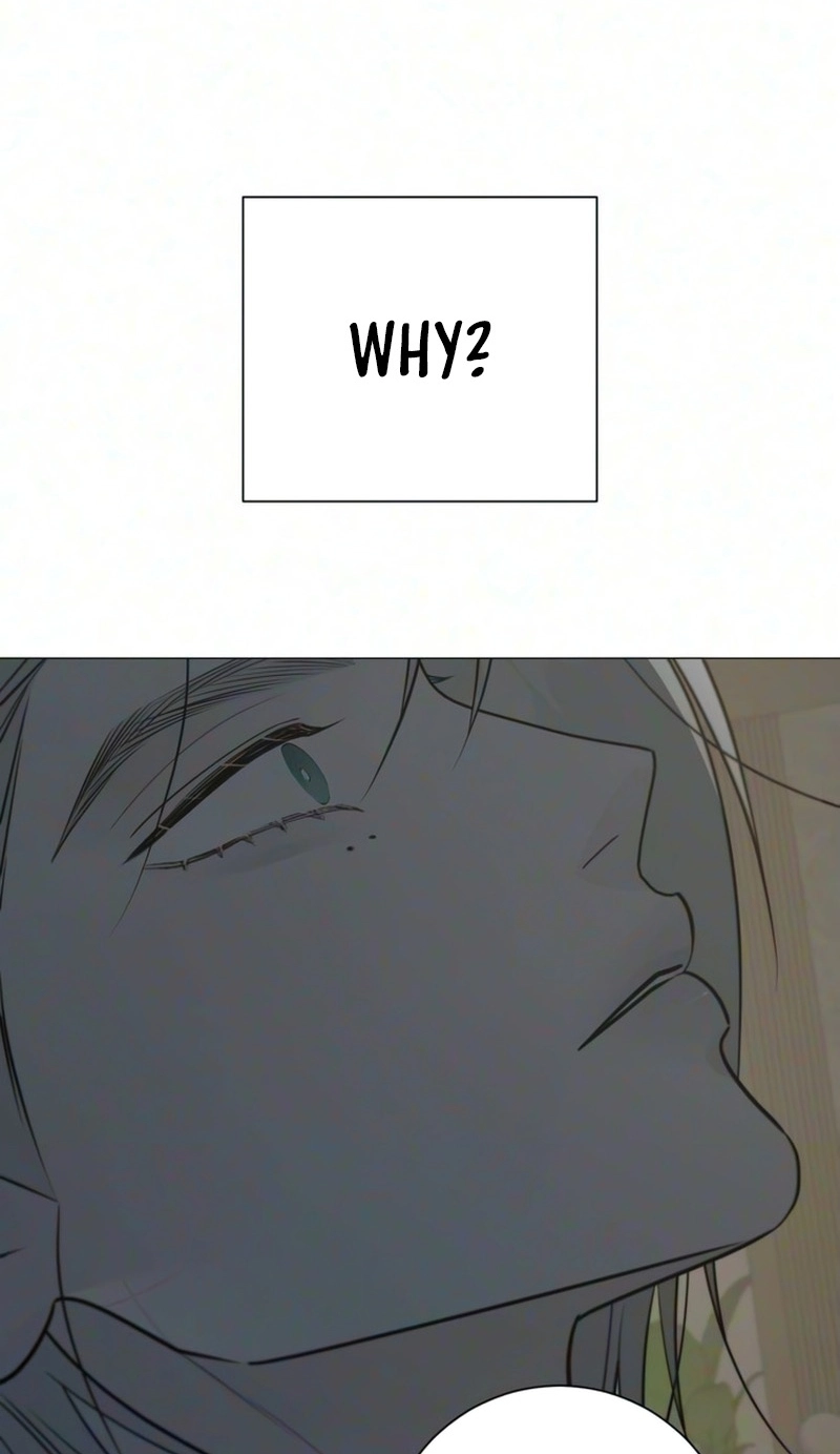 4ab48c03b2ef