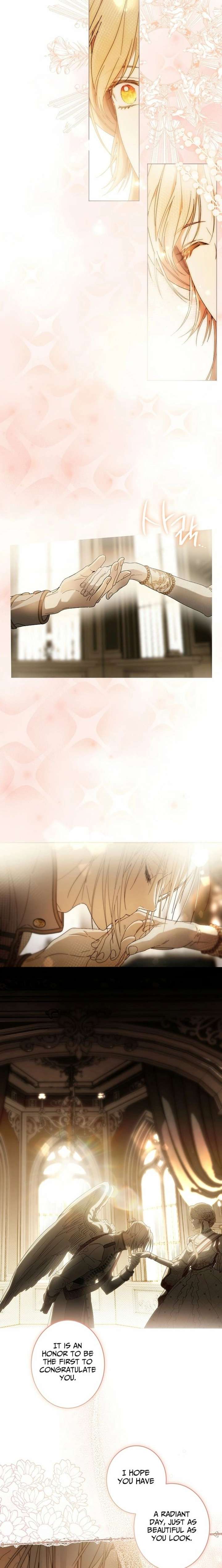 ch 36 19