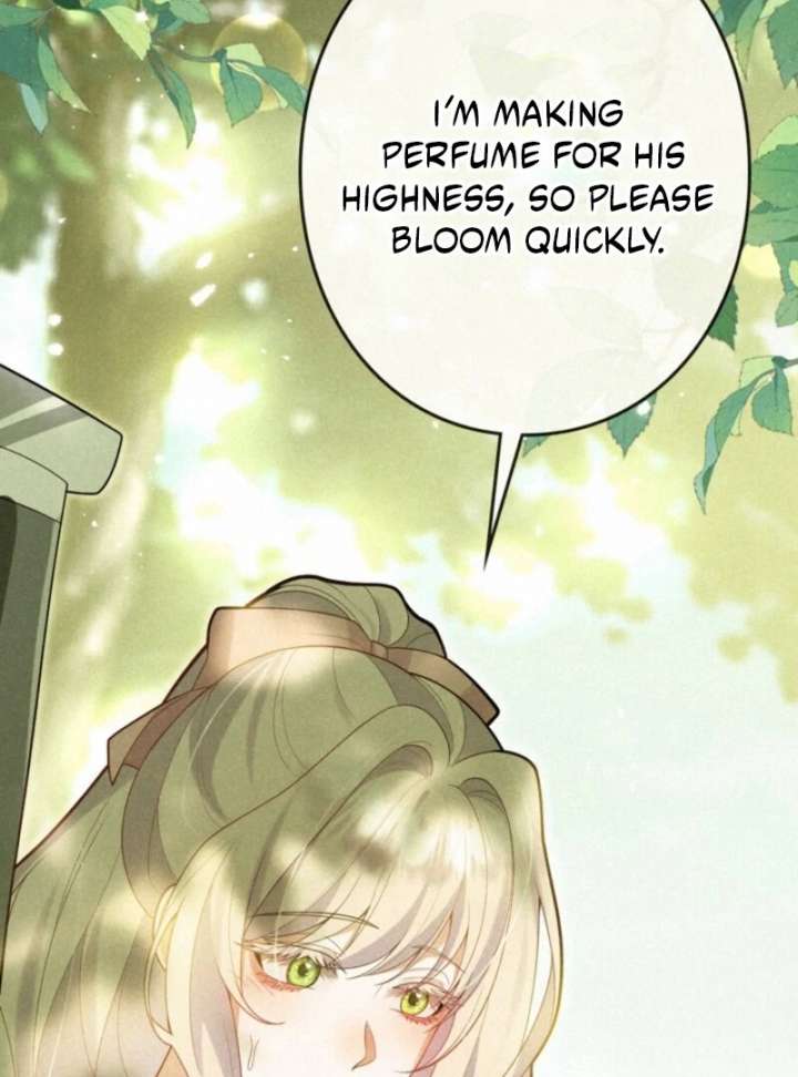 I’m an Exiled Single Mother, but the Crown Prince Became Obsessed With Me Chapter 11 277 15