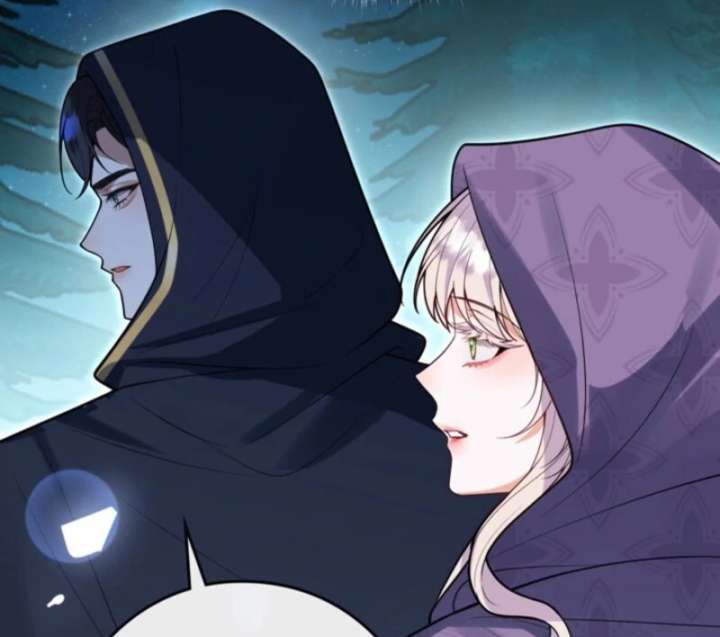 I’m an Exiled Single Mother, but the Crown Prince Became Obsessed With Me Chapter 11 290 28