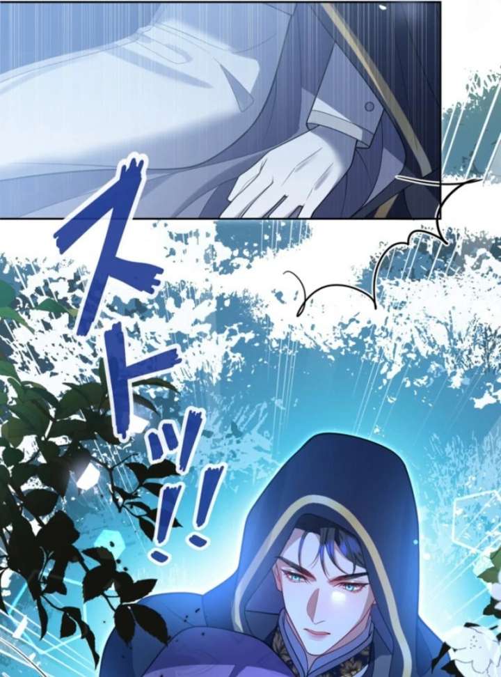 I’m an Exiled Single Mother, but the Crown Prince Became Obsessed With Me Chapter 11 312 50