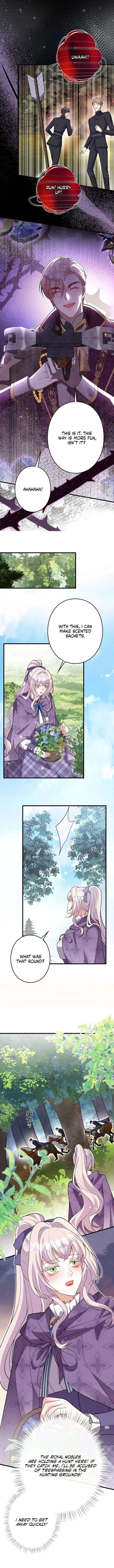 008