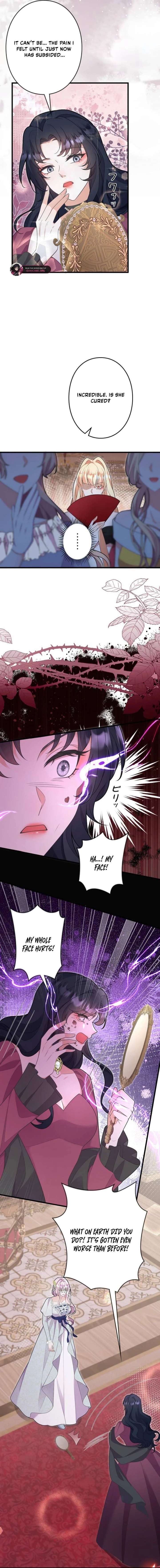 ch 31 2